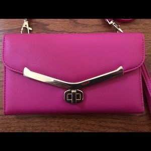 Hot Pink Clutch/Purse.